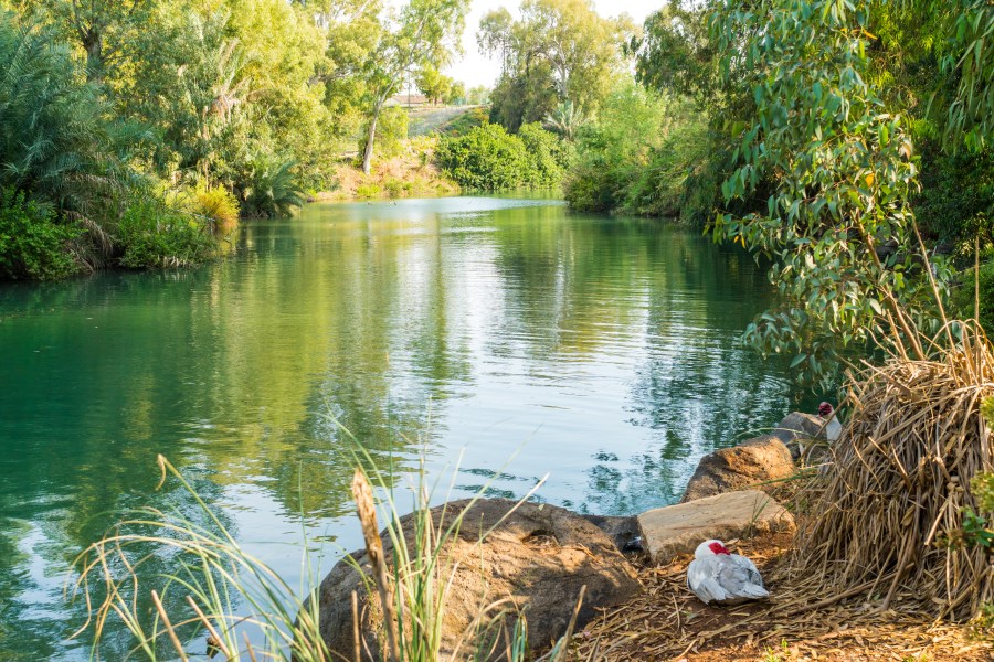 Jordan River Seen From Kvutzat Kinneret